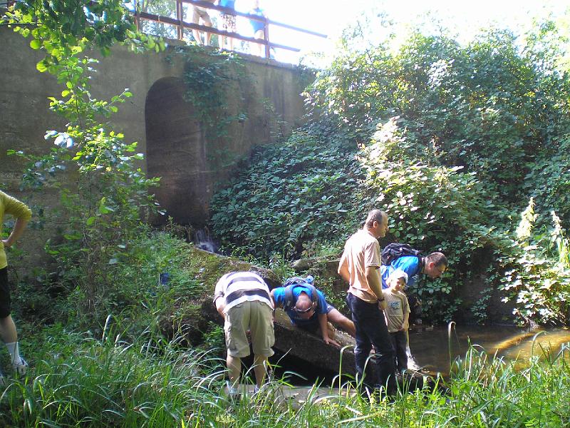 rowtras 013.jpg - c.d.